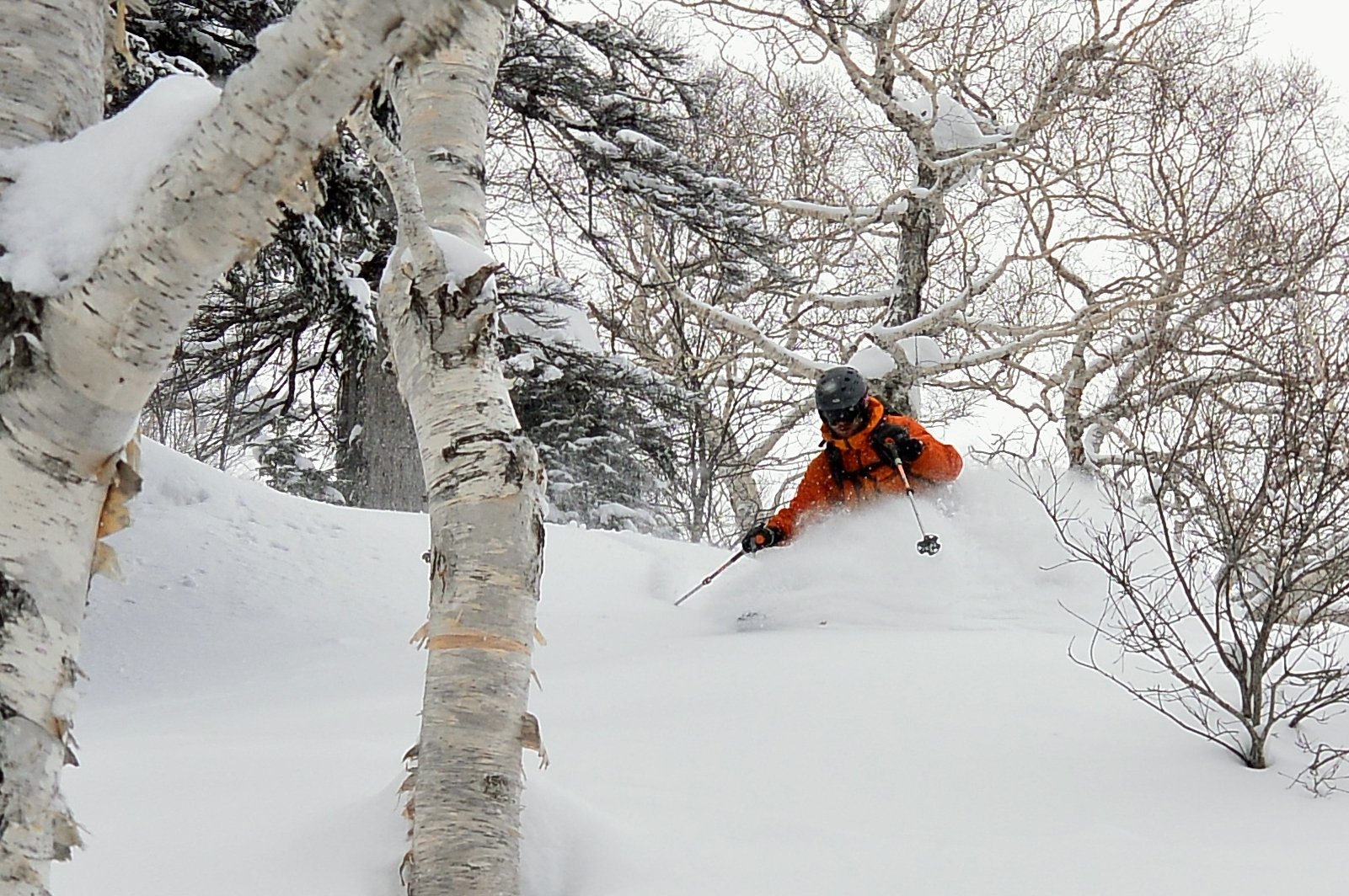 🏂 후라노 스키장 후라노 존 (富良野スキー場 富良野ZONE)